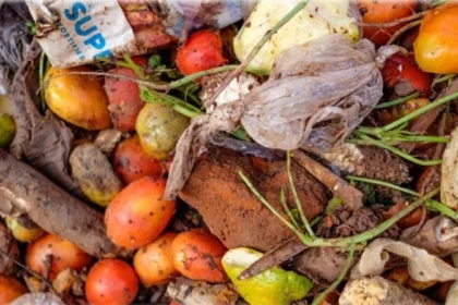 food waste