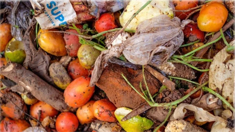 food waste