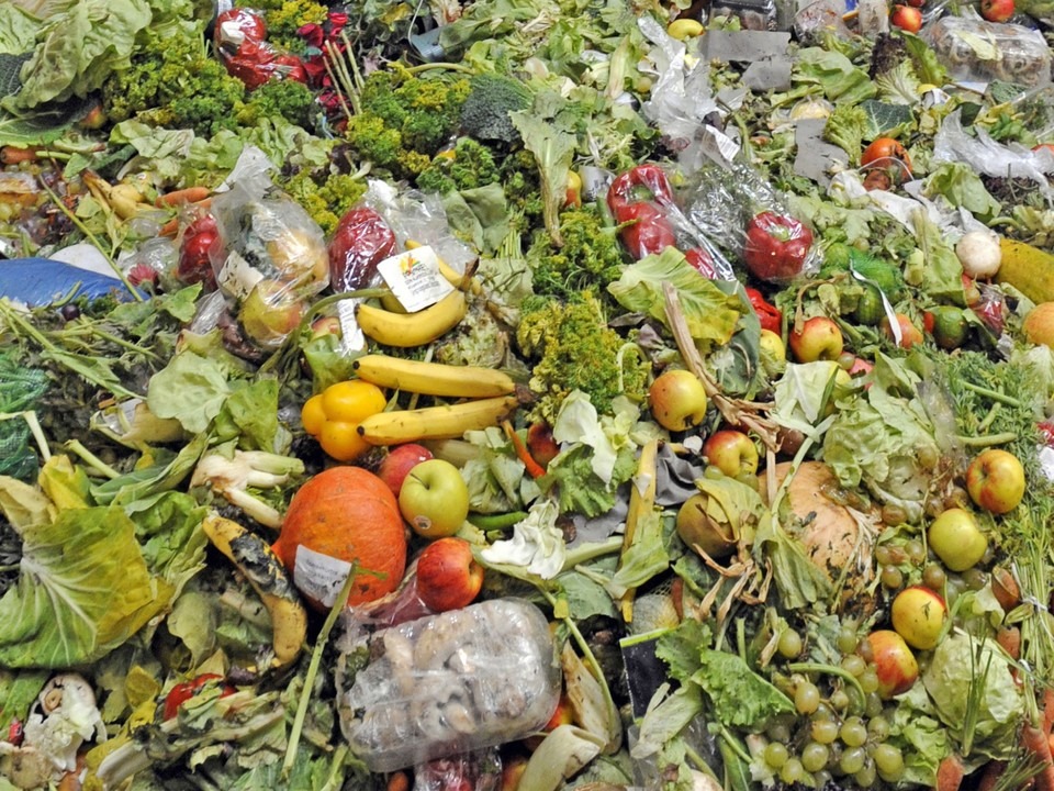 food waste