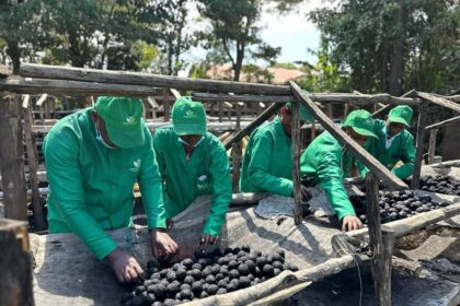 Green Eco Solutions Ltd