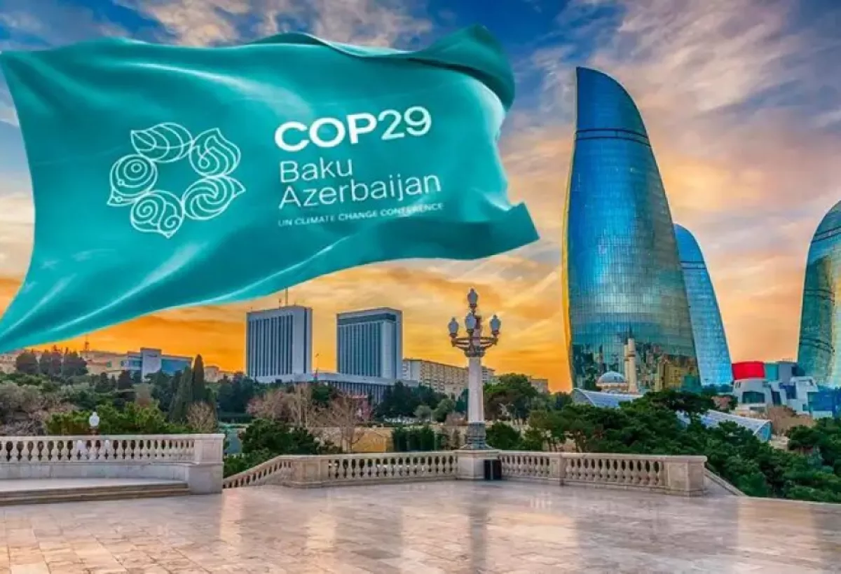 COP29