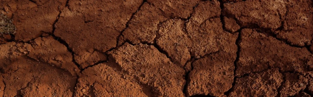 soil