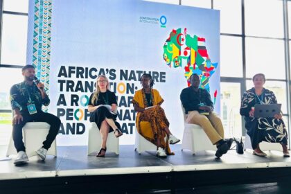 nature-based solutions